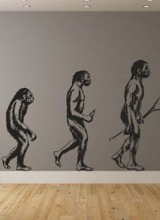 Еволюція людини від мавпи