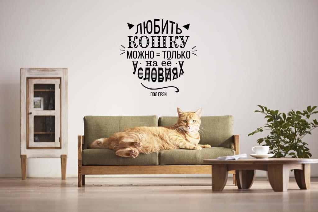 Виниловая наклейка на стену Любить кошку...