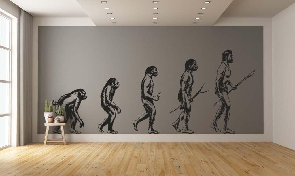Виниловая наклейка на стену Эволюция человека от обезьяны